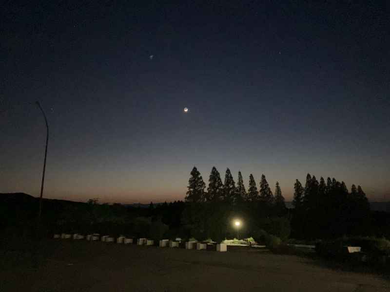 星座観察